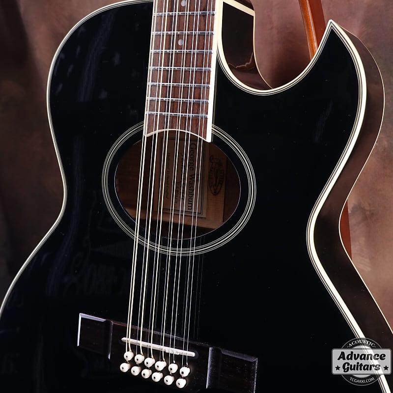 WASHBURN EA20 12 (Newport/Woodstock) 12-String for sale