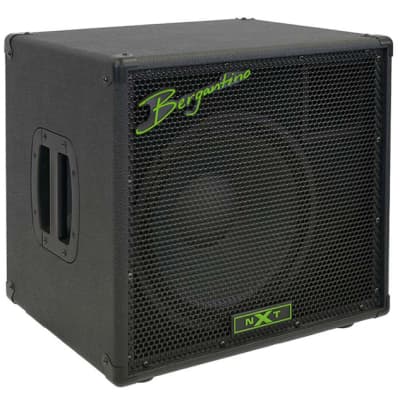 Bergantino NXT 210 Bass Cabinet *In Stock! | Reverb