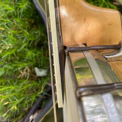 orpheum no. 1 banjo mandolin | Reverb