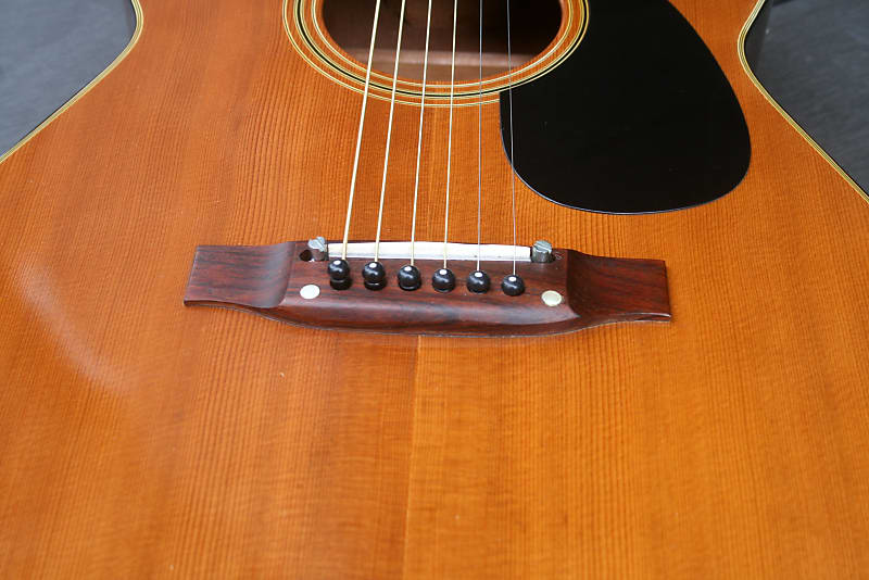 Elite Takamine アコースティックギター F120 ナチュラルウッド Elite Takamine アコースティックギター F120 ナチュラルウッド