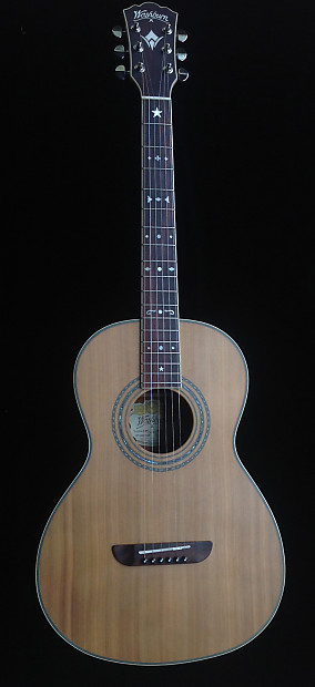 Washburn wp21sens cheap