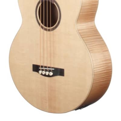 Teton STB130FMCENT Acoustic-Electric Bass, Solid Sitka Spruce Top image 1