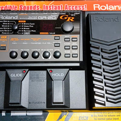 Roland GR-20 Guitar Synthesizer (NEW with Box) Complete Kit 2004 - 2010 - Black