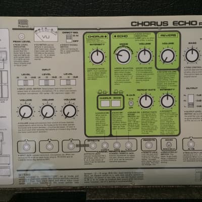 Roland RE-301 Chorus Echo | Reverb