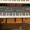 Roland Juno-106 61-Key Programmable Polyphonic Synthesizer 1984 - 1985 Black