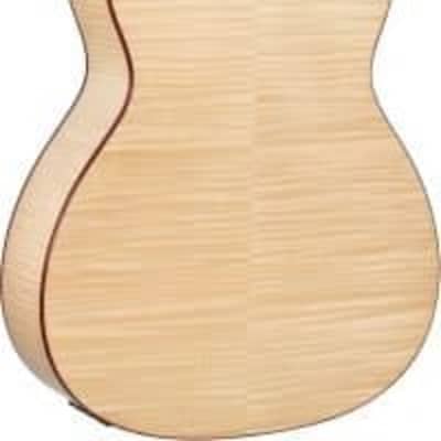 Teton STG130FMEPH Grand Concert , Solid Spruce Top, Flame Maple Back & Sides Purple Heart Binding, C image 13