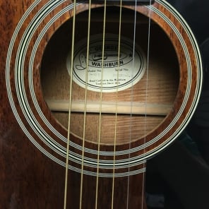 Washburn D10M Acoustic Reverb