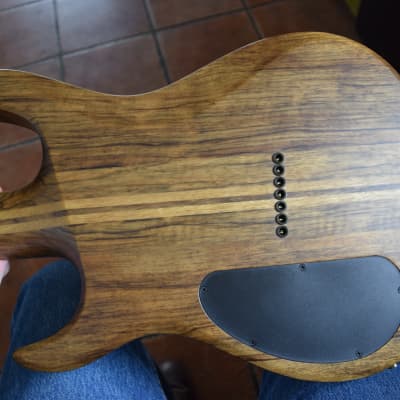 Kiesel DC700 7 string , Exotic woods and very high specs