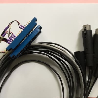 API 312A Dual Channel Wiring Harness image 1