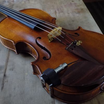 Frank Reiner Hamburgensis Violin | Reverb