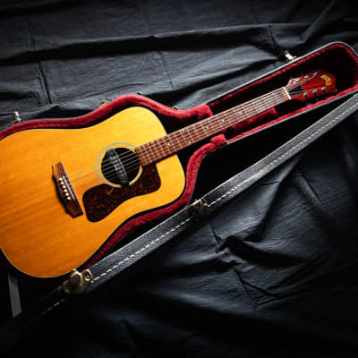 MADE IN JAPAN 1977 - YAMAKI YM800 - WONDERFUL - MARTIN D35 CLASS