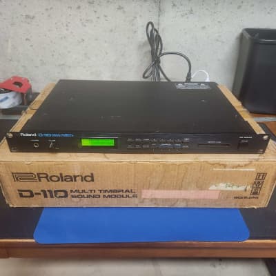 Roland D-110