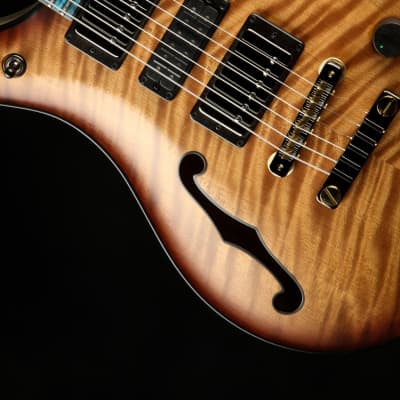 PRS Private Stock #9019 McCarty 594 Semi-hollow - Natural Smoked Burst image 12