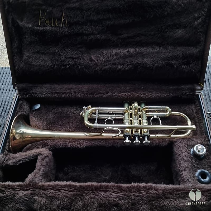 Vincent Bach Stradivarius 239 Goldbrass bell C | Reverb Finland
