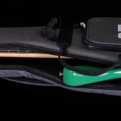 PRS SE Silver Sky Ever Green (549) image 6