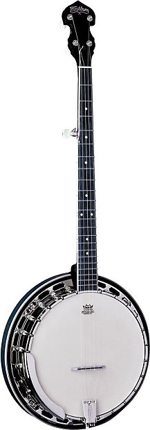 Washburn b14 banjo hot sale