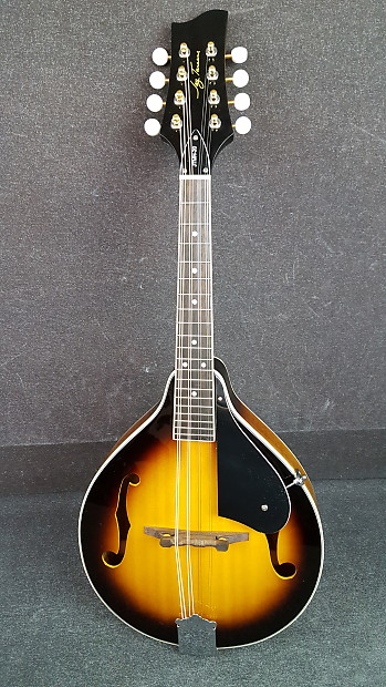 Jay turser shop mandolin