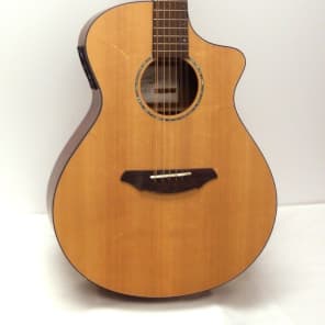 Breedlove atlas 12 string cheap