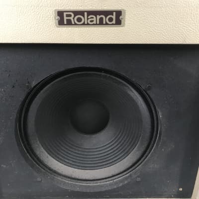 Roland BC-30 Blues Cube 2-Channel 30-Watt 1x12