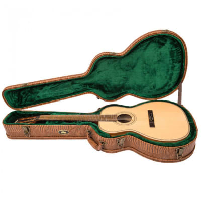 Vintage Paul Brett Signature E/A Guitar  6 String + Case Ve880 Pb image 5