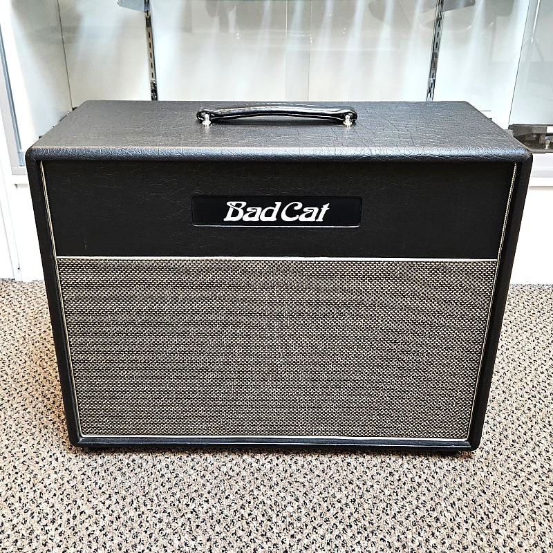 used Bad Cat 1x12" 8 Ohm Guitar Speaker Cabinet, Excellent Condition! image 1