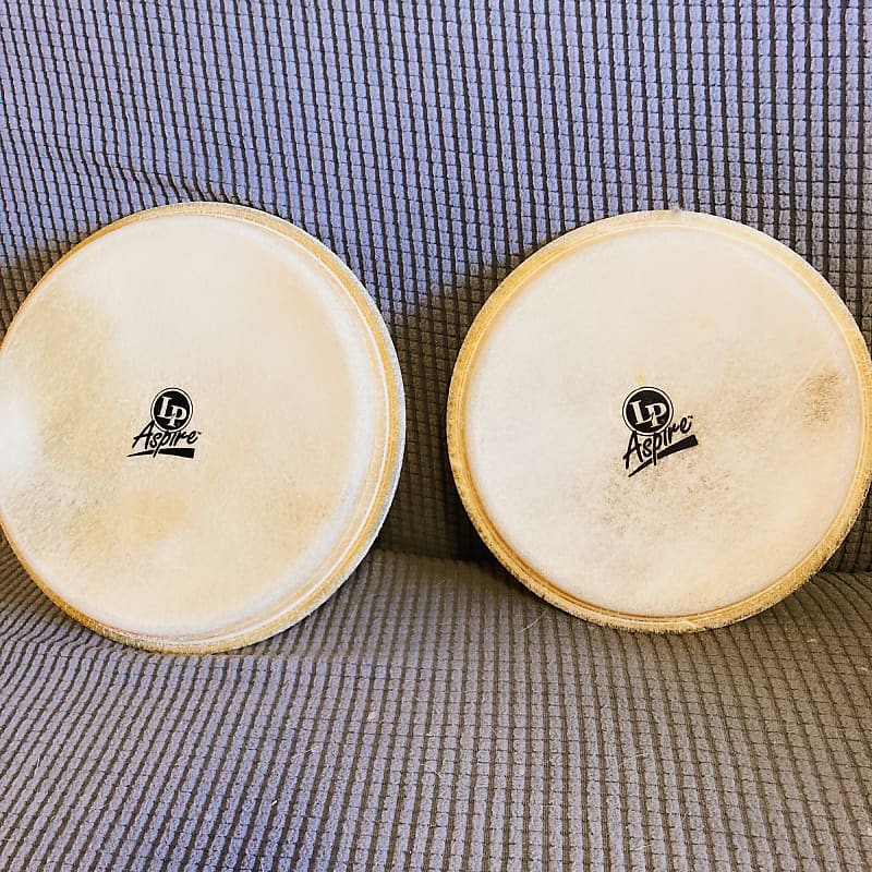 Set of Bongo Head LP Aspire Reverb