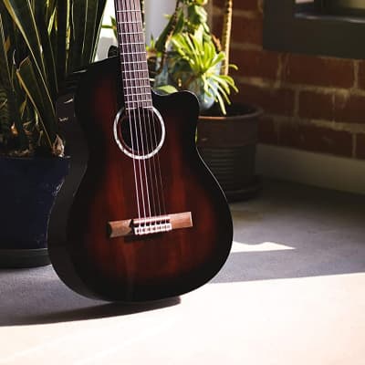 Cordoba Fusion 5 Sonata Burst Acoustic-Electric Cutaway Nylon String Guitar, Fusion Series image 7
