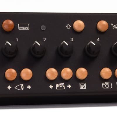 Critter & Guitari Eyesey | Reverb