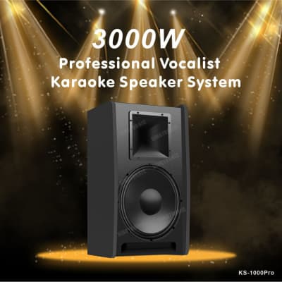 Singtronic Professional 3000W Vocalist Karaoke Speakers (Pair) image 3