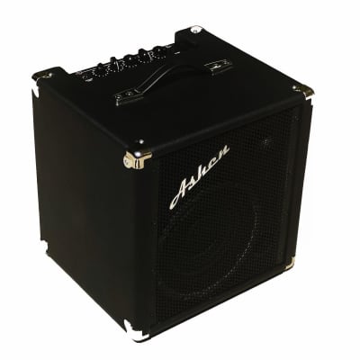Ashen Mighty 1x12 500W Bass Combo Amp for sale