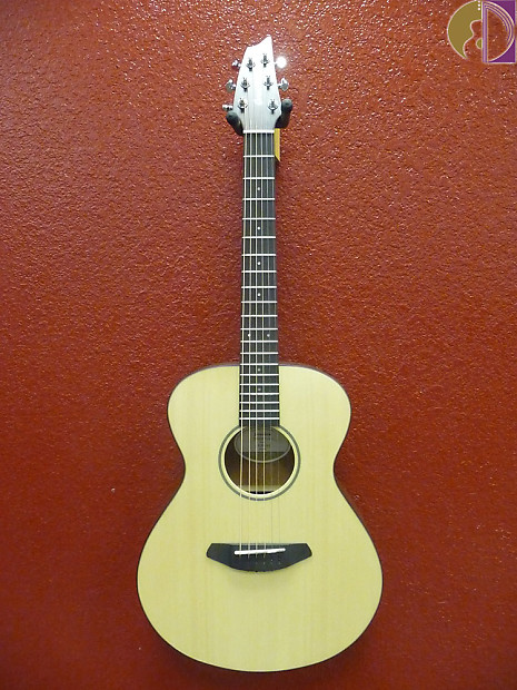 Breedlove passport traveler top