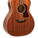 Washburn G120SWE Heritage Solid Woods Series Grand Auditorium Acoustic Electric