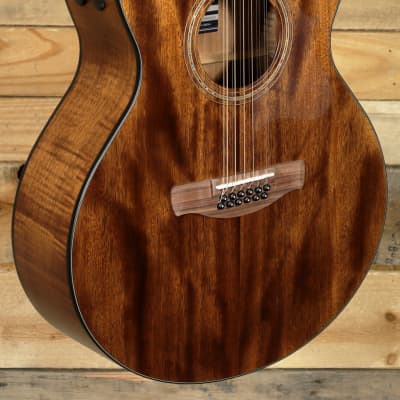 Ibanez 12-String Acoustic Guitars | Reverb