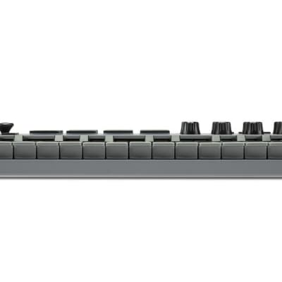 Akai MPK MINI MKIII 25-Key Keyboard Controller - Limited Edition Grey image 3