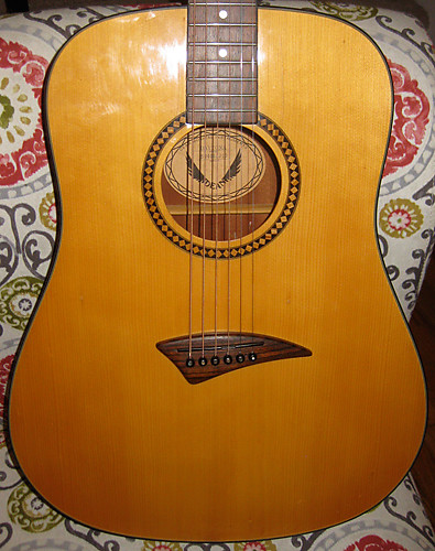 Dean daytona acoustic guitar top