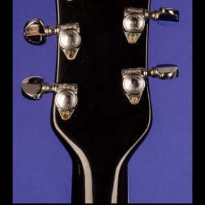 Godwin Guitar Organ (16/4) 1976 Black image 9