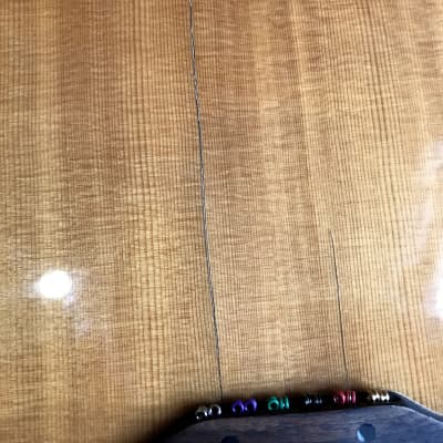Takamine EG523SC12  Solid Top 12 String with OHSC image 18