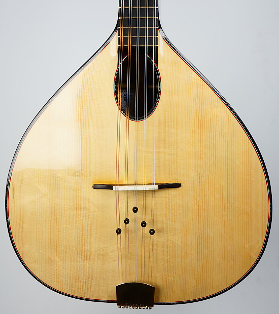 10 string mandolin on sale