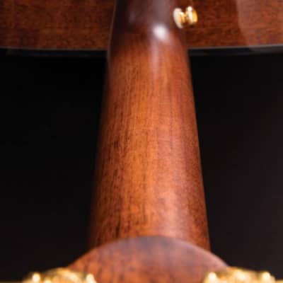 Cort Gold-Edge Natural Glossy w/Case (B Stock) image 12
