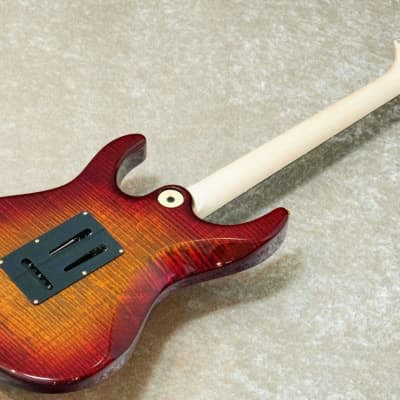 FREEDOM CUSTOM GUITAR RESEARCH HYDRA 24F 2Point 1P Flame Maple Body -Kabukimono- 2023 [Made in Japan] image 8