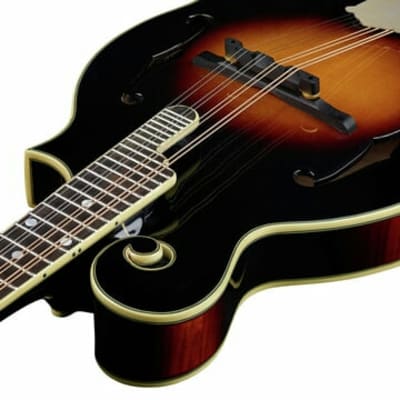The Loar LM-700 Supreme Mandolin, F-Style, All Solid Hand Carved. New! image 11