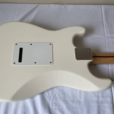Fender Stratocaster with David Gilmour Pickguard image 4