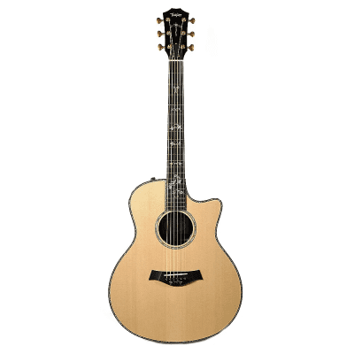 Taylor 916ce with ES1 Electronics