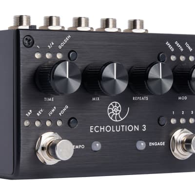 Pigtronix Echolution 3 Multi-Tap Stereo Delay image 3