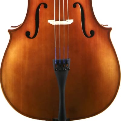 Fully carved Cello 4/4, Minor chips | Reverb