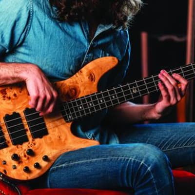 Michael Kelly Guitar Co. Pinnacle 4-String Bass Electric Bass Guitar with Natural Burl Finish image 6