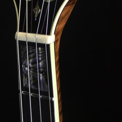 SOLD! - OME Custom Juggernaught Plectrum Banjo image 9