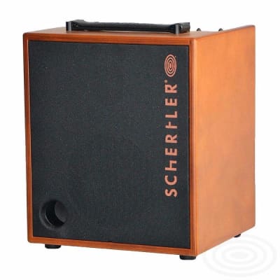 Schertler DAVIDW 100 Watt Acoustic Guitar Amplifier image 1