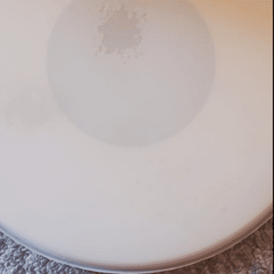Remo  14 Inch Emperor X Snare Drumhead 2022 White Coated 2022 image 1