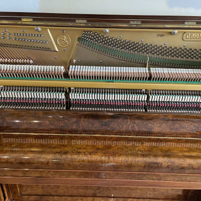 Extremely Beautiful Antique Bechstein Upright Piano 1894 Burr Walnut Fully Restored With Guarantee image 10
